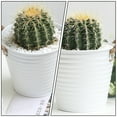 thumbnail image 2 of Galvanized Planters Rope Tin Flower Pot Gardening Portable Baby, 2 of 6