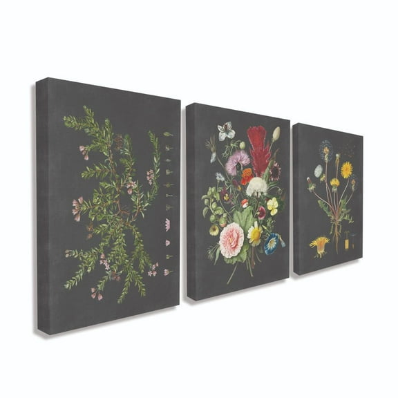 Stupell Industries Botanical Chalkboard Flowers Illustrations Canvas Wall Art by Lettered and Lined