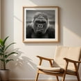 thumbnail image 6 of Silverback - Photography Wildlife Black and White Animal Portrait Nature Jungle Moody Unframed Wall Art Print 20 x 20 inches, 6 of 9