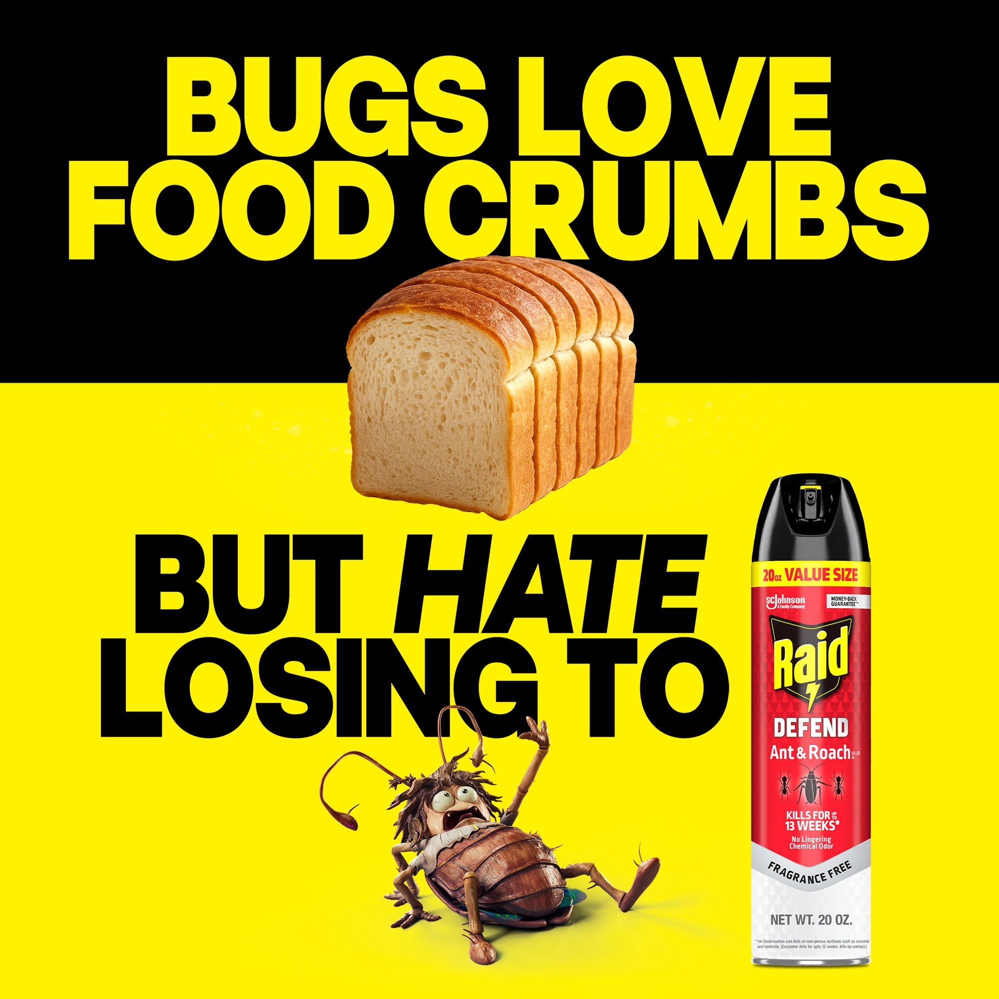 (2 pack) Raid Defend Ant and Roach Killer, Fragrance Free Indoor Home Bug Control Spray, 20 oz