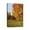 Tree (24), variant on 12x16 Scenery Pathway Forest Canvas Prints - Rays Bay Inspired Artwork for Living Room Wall Decor - Beautifully Drawn and Ready to Hang