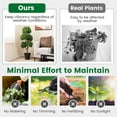 thumbnail image 4 of Gymax 45 Inch Artificial Boxwood Topiary Ball Tree Fake 5 Ball Topiary Tree for Home, 4 of 8