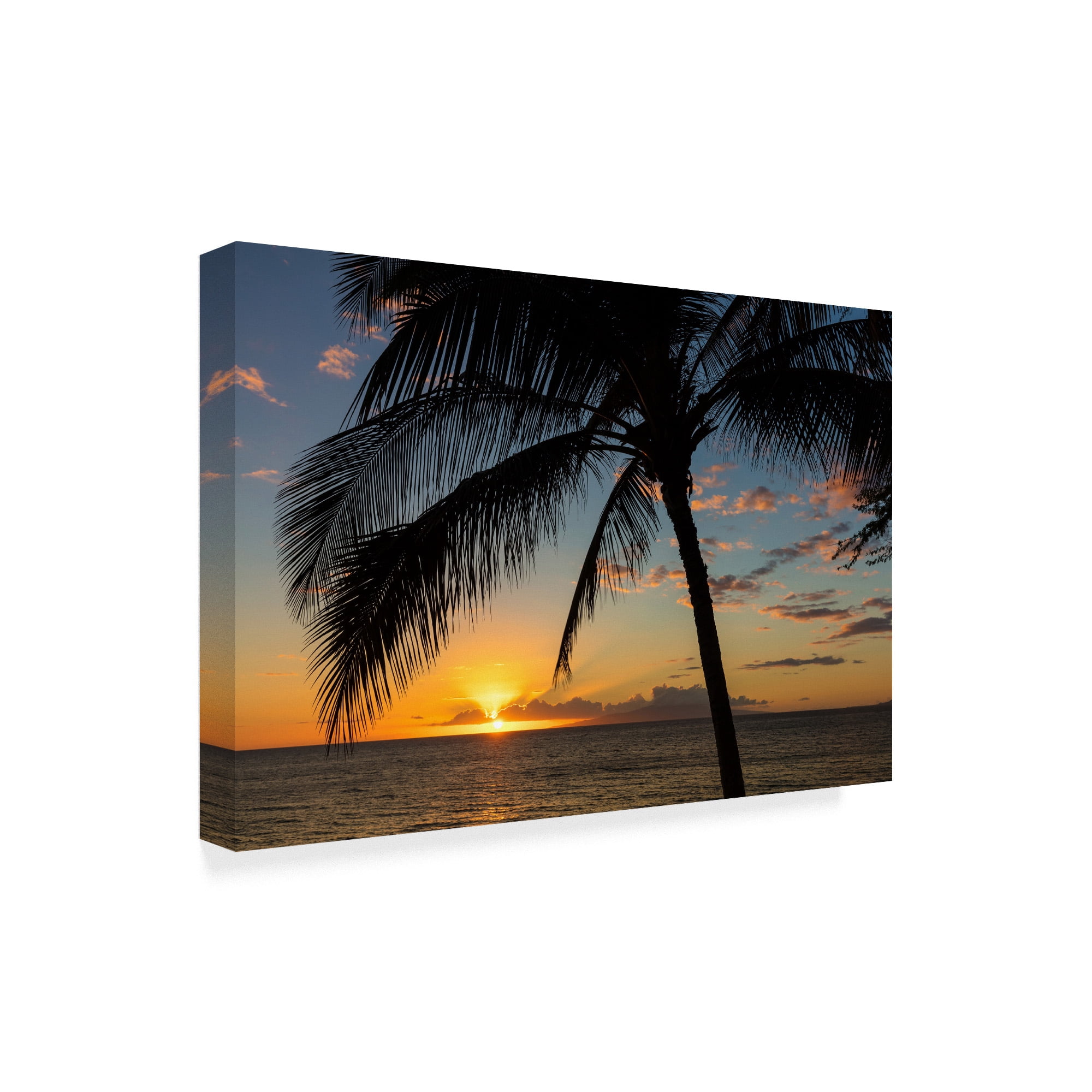 Trademark Fine Art 'Maui Sunset' Canvas Art by Pierre Leclerc