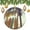 pattern-1842, variant on Surfboard on The Summer Beach Christmas Ornaments Exotic Summer Vacation Sport Vintage Style Custom 3" Ceramic 2024 Xmas Ornament Christmas Tree Gifts Gift Ideas for Home Decor