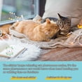 thumbnail image 5 of JIhuahe 4pcs Cat Calming Pheromone Patches, Soothing Herbal Scent Stickers for Cats, Calming Support for Stress During Travel, Vet Visits & Grooming, Non-Plug In, Easy to Use,a, 5 of 5