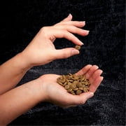 Crave Grain Free Indoor Natural Dry Cat Food With High Protein From Chicken & Salmon, 10 Lb. Bag