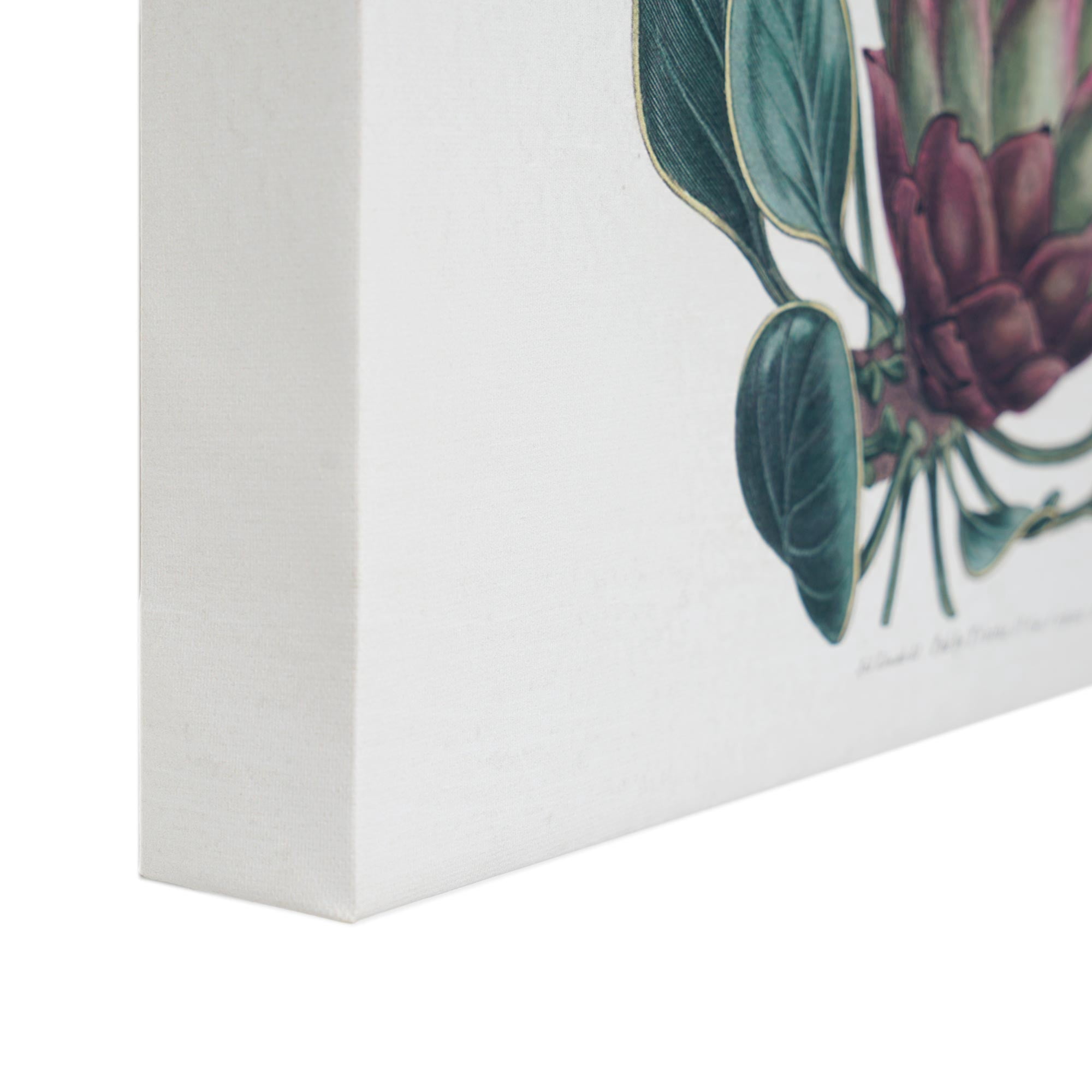 American Art Decor Dragon Leaf Flower Floral Botanical Canvas Wall Art Painting Print for Living Room, Bedroom, Kitchen, Home Office, Dining & Guest Room - 12"x16"