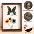 thumbnail image 3 of OULII Display Frame Shadow Box for Specimen Storage Wood Assorted Color Wall Mounted 1 Set, 3 of 6