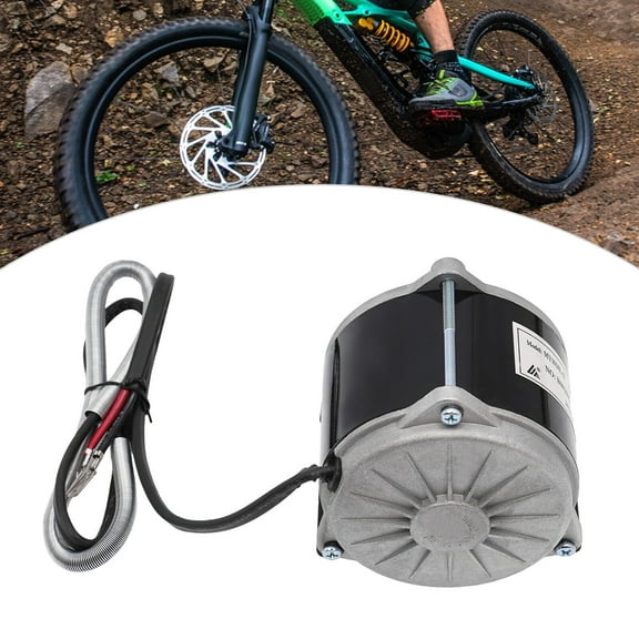 DC 36V 500W Brushed Motor  for Electric Bike, Scooter, Small Motorcycle