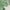 Green, variant on JIANJIA Womens Sweaters Autumn Winter Crew Neck Long Sleeved Furred Slit Pullover Tops Sportwear