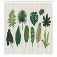 thumbnail image 3 of Tropical Shower Curtain, Vintage Botanical Composition of Different Kinds of Tree Leaves from Exotic Nature, Fabric Bathroom Set with Hooks, 69W X 70L Inches, Multicolor, by Ambesonne, 3 of 3