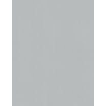 Cardstock Warehouse Lessebo Dove Gray - 8.5 x 11 inch 100 lb. Cardstock Paper - 25 Sheets