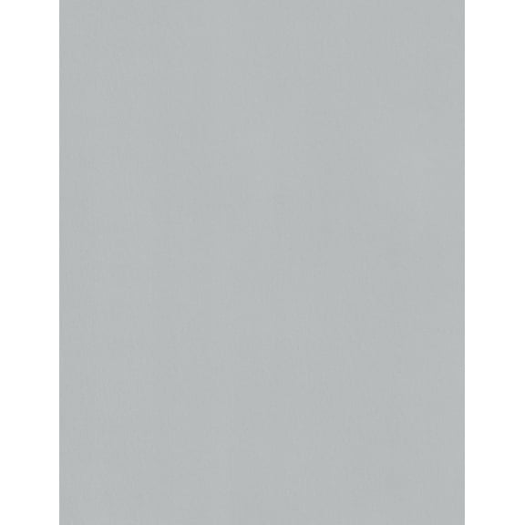 Cardstock Warehouse Lessebo Dove Gray - 8.5 x 11 inch 100 lb. Cardstock Paper - 25 Sheets