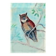 thumbnail image 2 of Betsy Drake FL732 12.5 x 18 in. Owl in Teal Flag, 2 of 2