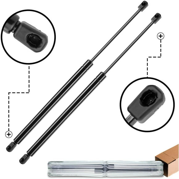 Tahoe Rear Hatch Struts