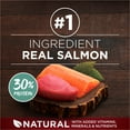 thumbnail image 4 of Purina ONE True Instinct High Protein Dry Dog Food for Adult Dogs, Muscle Support, Salmon & Tuna, 15 lb Bag, 4 of 11