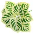 thumbnail image 1 of Bangcool Artificial Leaves Stems Realistic Fake Plant Faux Leaf Branch for Home Decor, 1 of 6