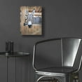 thumbnail image 5 of Epic Art 'Curious Donkey' by Lori Deiter Acrylic Glass Wall Art, 12"x16", 5 of 8