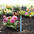 thumbnail image 3 of WASHWEPE 2 Pcs Distributeur de Semis Outil de Jardin en Plastique pour Usage Domestique, 3 of 8