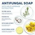 thumbnail image 3 of Hermon Antifungal Soap with Tea Tree Oil: Antifungal Bar Soothing Care & Relief of Itchy for Ringworm Jock Itch Tinea Versicolor Athletes Foot - Body & Face Wash for Men and Women, 3 of 6