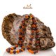 thumbnail image 2 of Amberalia, Collar de Ámbar Báltico de 45 cm, modelo para Adultos, con broche de rosca y nudos entre cada cuenta. Ámbar Importado de Lituania. Modelo Bicolor Cherry Cognac Pulido. Amberalia Collar 45 cm adulto, 2 of 7