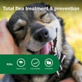 thumbnail image 4 of Tratamiento y prevención de pulgas Advantage II para perros medianos, 4 of 9