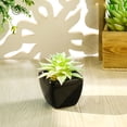 thumbnail image 3 of Potted Plant Simulated Easy to Care Mini Assorted Decorative Succulent Artificial Pot for Home Black Ceramic, 3 of 8