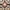 Ivory/Multi, variant on Safavieh Amsterdam Gladwin Geometric Area Rug, Terracotta/Multi, 4' x 6'