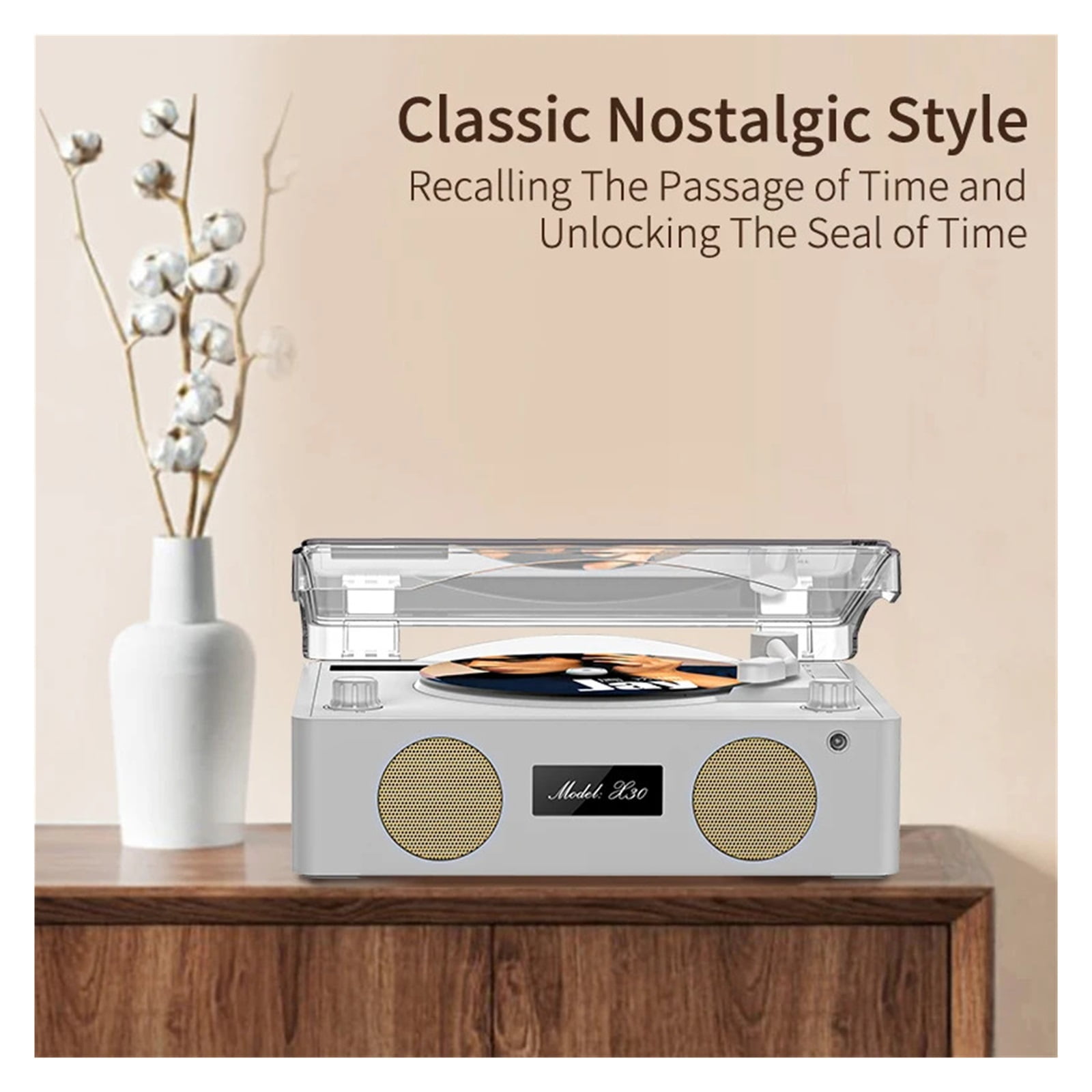 HIFI CD Player Wireless Bluetooth USB Lossless Playback FM Radio Infrared Remote