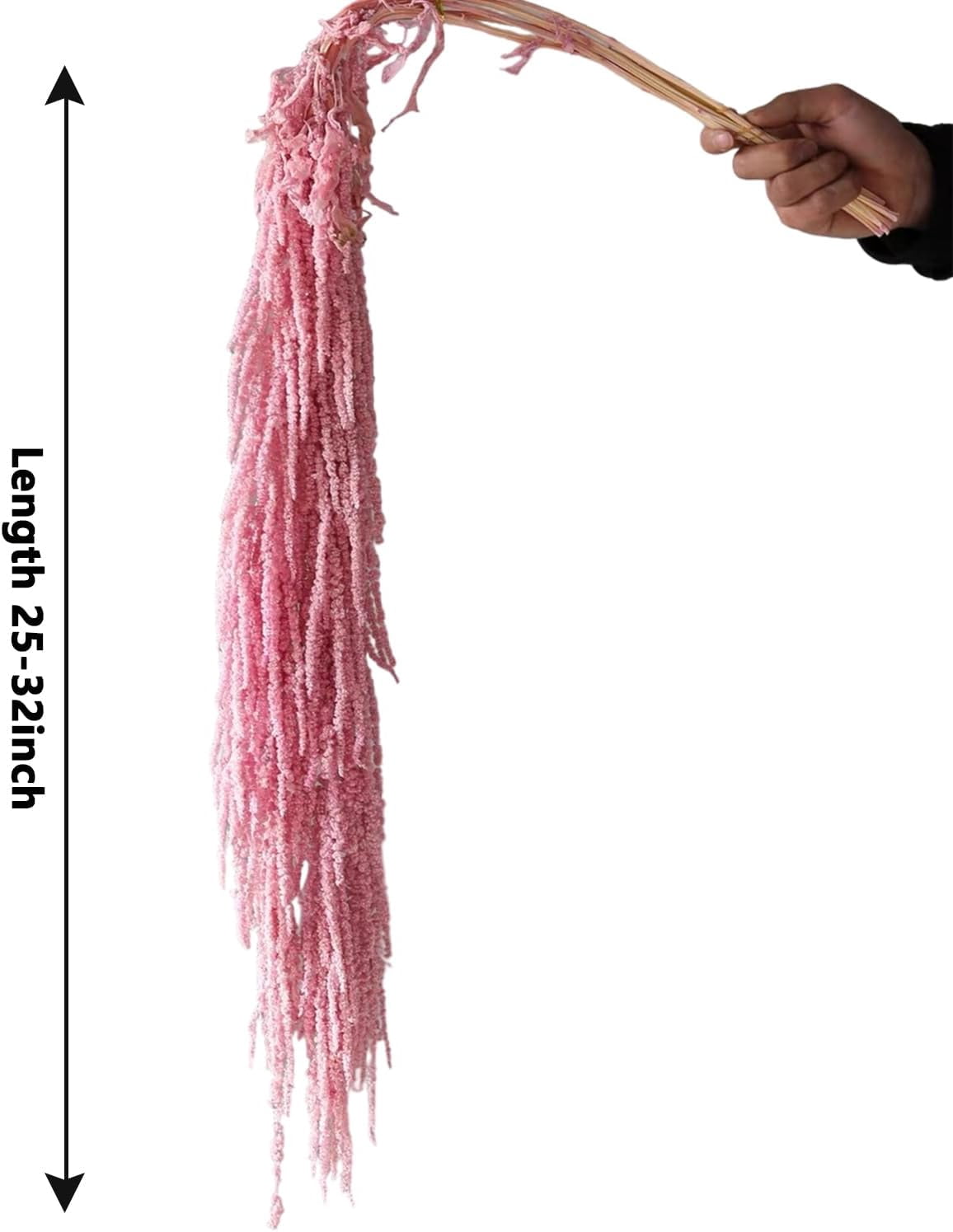 Wisteria Vine Hanging Flowers: 5Pcs Real Preserved Dried Amaranthus Flowers for Wedding, Flower Arrangement, Vase, 23"-26" Hanging Wisteria Flowers for Arch Decor Home Decor (Pink)