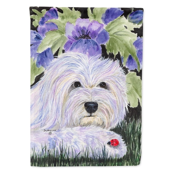 Caroline's Treasures SS8349-FLAG-PARENT Coton de Tulear Flag, , multicolor