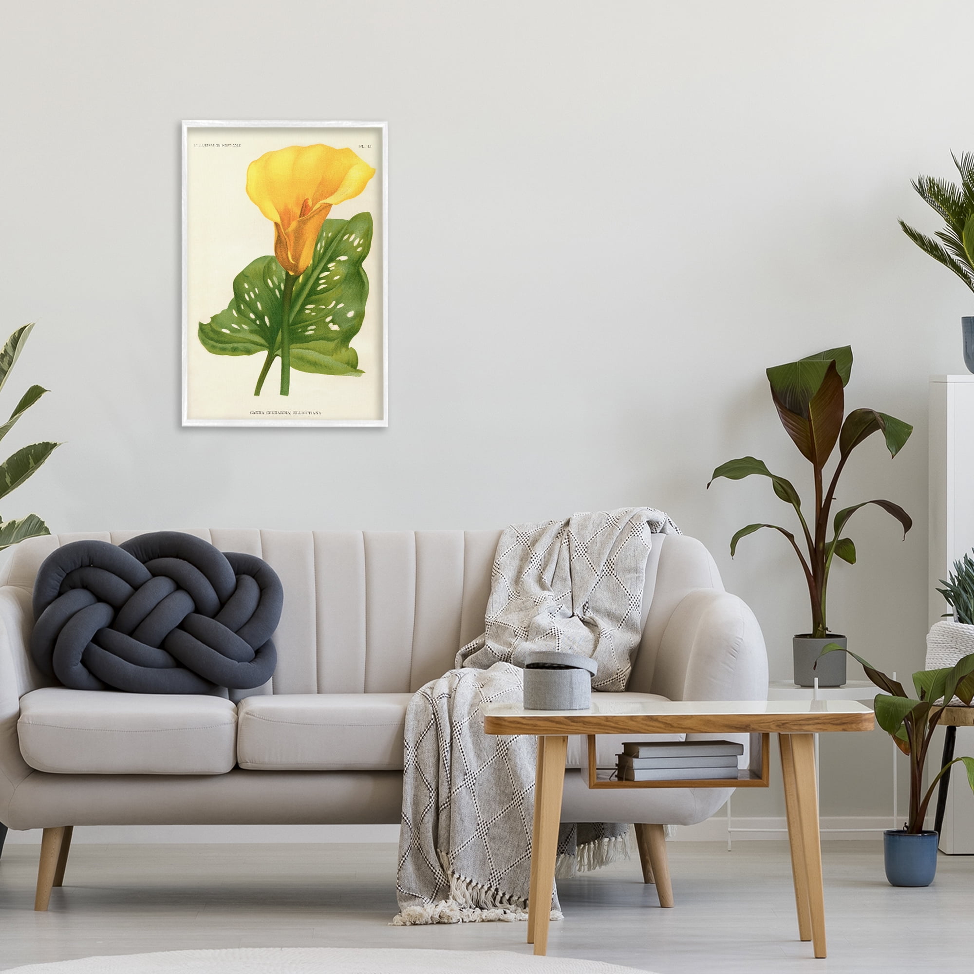 Stupell Industries Yellow Canna Lily White Framed Giclee Art, design by Print Collection
