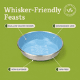 thumbnail image 5 of Vibrant Life Stainless Steel Cat Food Saucer, 5 of 9