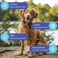 thumbnail image 7 of Petralyte Dog Electrolyte and Joint Supplement | for Beef Lovers | 16 Packets, 7 of 7