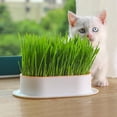 thumbnail image 3 of Hydroponic Seedling Tray Creative Cat Snack Catnip Growing Pot Reusable Garden Catnip Growing Bowl Pet Supplies (BL065-4C), 3 of 7