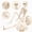 White - M, variant on AUHomi 1 PC Halloween Skeleton, 15.7" Full Body Halloween Skeleton Decor with Movable Joints, Party Decorations, Halloween Outdoor Skeleton Decoration, Horror House Graveyard Props (S)