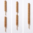 thumbnail image 6 of AYYUFE Plant Support Pole Stackable Durable Wooden Coir Moss Totem Pole for Indoor Plant, 6 of 8