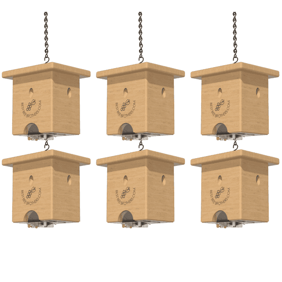 Best Bee Brothers Pine Turbo Trap (6 Pack) for Catching Carpenter Bees