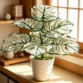 thumbnail image 7 of cpengpj Realistic Texture Monstera Deliciosa Bonsai, PVC Made Fade Resistant, for Living Room Tabletop Decoration, 1 Piece, 7 of 7