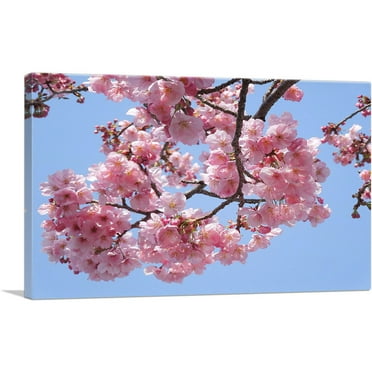 ARTCANVAS Cherry Blossom Branch Canvas Art Print - Size: 26" x 18" (0.75" Deep)