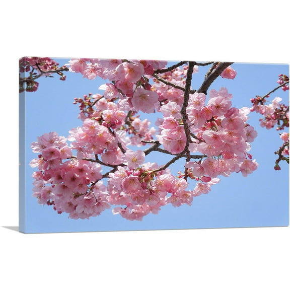 ARTCANVAS Cherry Blossom Branch Canvas Art Print - Size: 26" x 18" (0.75" Deep)