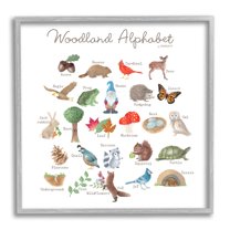 Stupell Industries Woodland Alphabet Wildlife Botanicals Learning Forest Creatures Graphic Art Gray Framed Art Print Wall Art, Design by Dishique