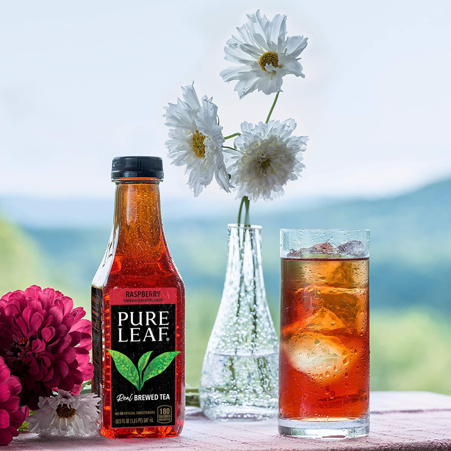 Pure Leaf Raspberry Brewed Iced Tea, 6 bottles / 16.9 fl oz - Ralphs