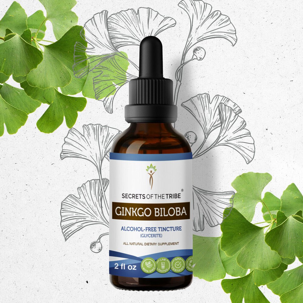 Ginkgo Biloba Tincture AlcoholFREE Extract, Organic Ginkgo Biloba