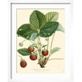 thumbnail image 2 of Art.com Bessa Strawberries Art Print by Bessa, White Frame Wall Art, 17" x 21", 2 of 5