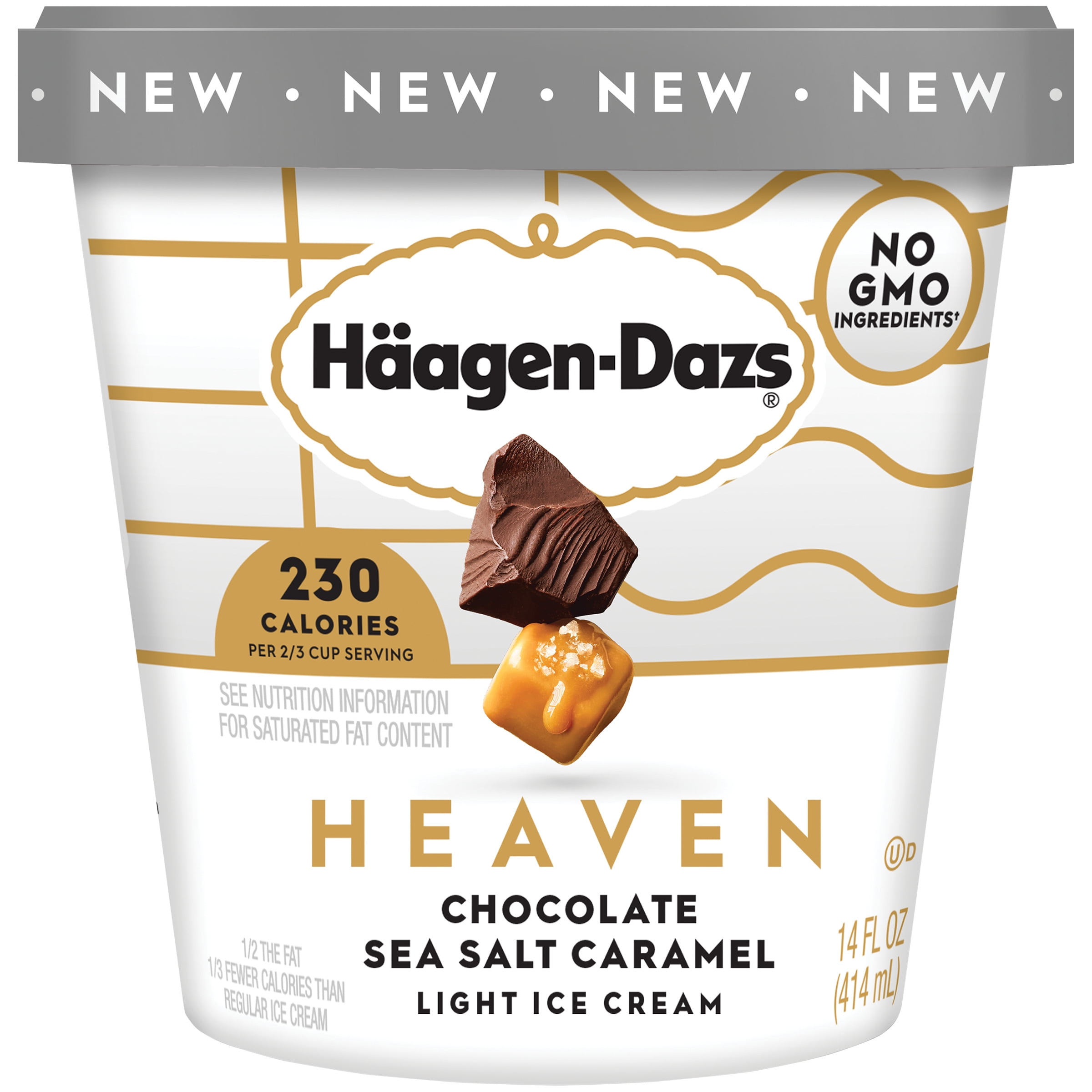 HAAGENDAZS HEAVEN Chocolate Sea Salt Caramel Light Ice Cream 14 fl. oz