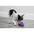 thumbnail image 5 of goDog® Dinos Bruto Just For Me Checkers with Chew Guard Technology™ Plush Dog Toy, Purple, Mini, 5 of 9
