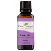 Plant Therapy Lavender Essential Oil 100% Pure, Undiluted, Therapeutic Grade