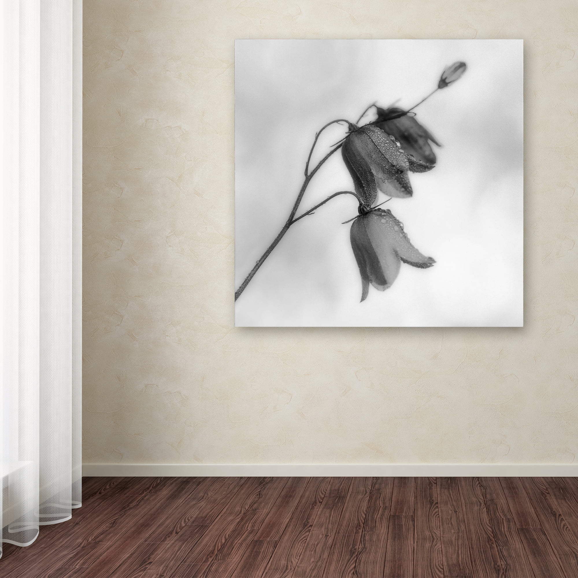 Bjorn Emanuelson 'Autumn Dew' Canvas Art