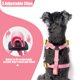 thumbnail image 5 of Set de arnés y collar de correa para perros pequeños PUPTECK, color rosa, 5 of 7